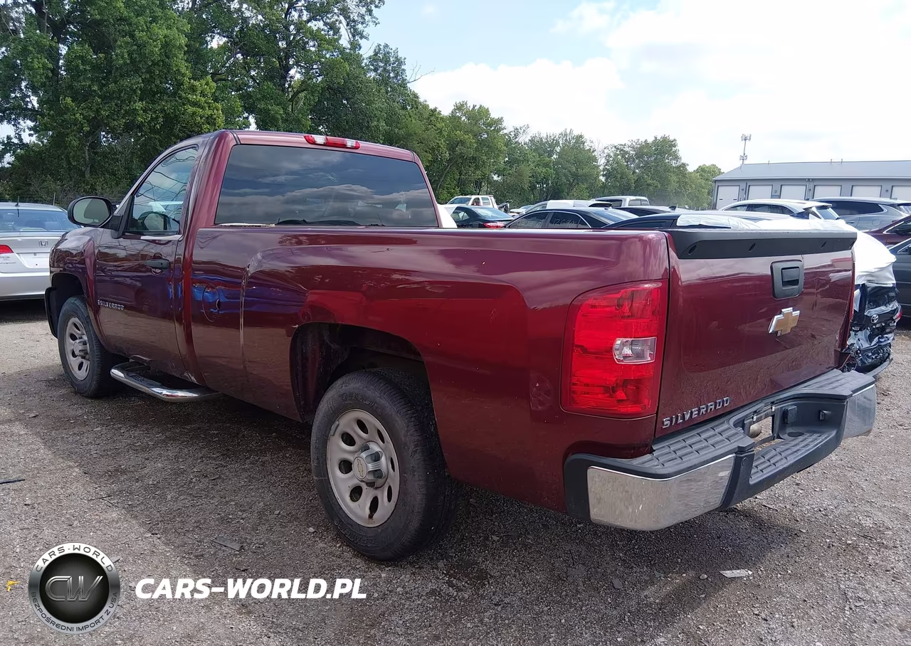 2009 Chevrolet Silverado 1500 Work Truck VIN:1GCEC14X59Z230135 - 3