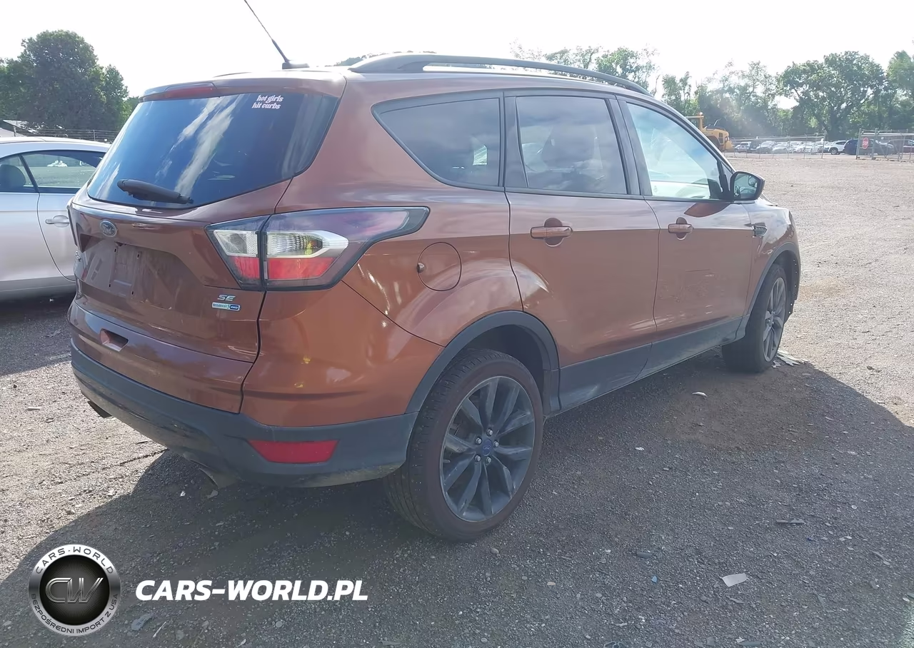 2017 Ford Escape Se VIN:1FMCU9G90HUA86405 - 4