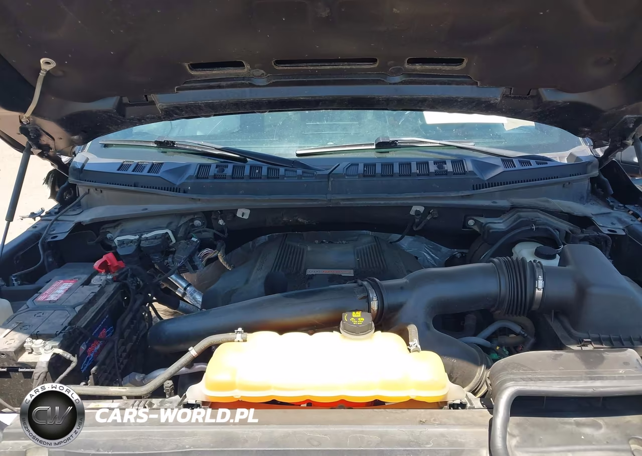 2018 Ford F-150 Raptor VIN:1FTFW1RG3JFA17341 - 10