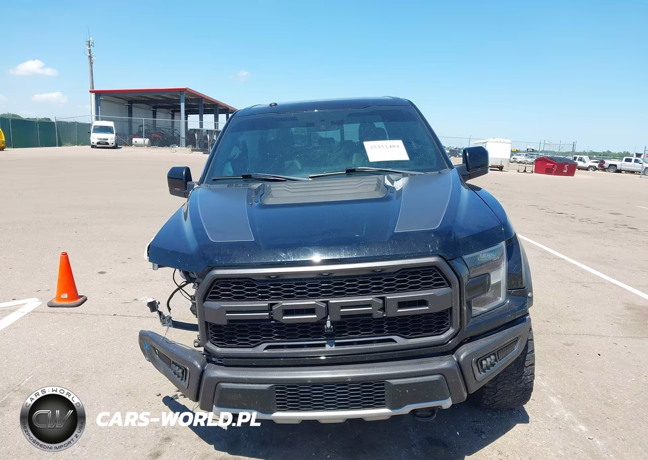 2018 Ford F-150 Raptor VIN:1FTFW1RG3JFA17341 - 12