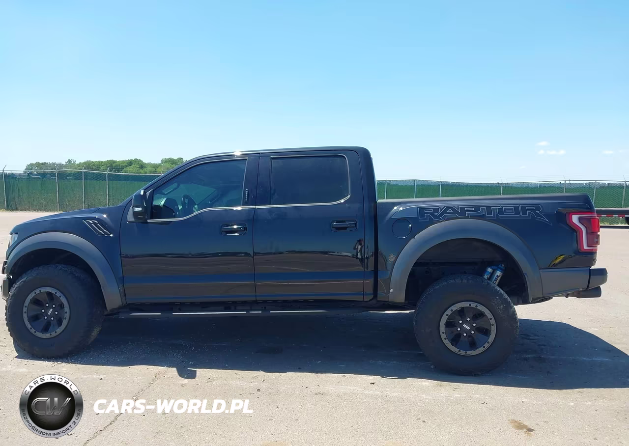 2018 Ford F-150 Raptor VIN:1FTFW1RG3JFA17341 - 14