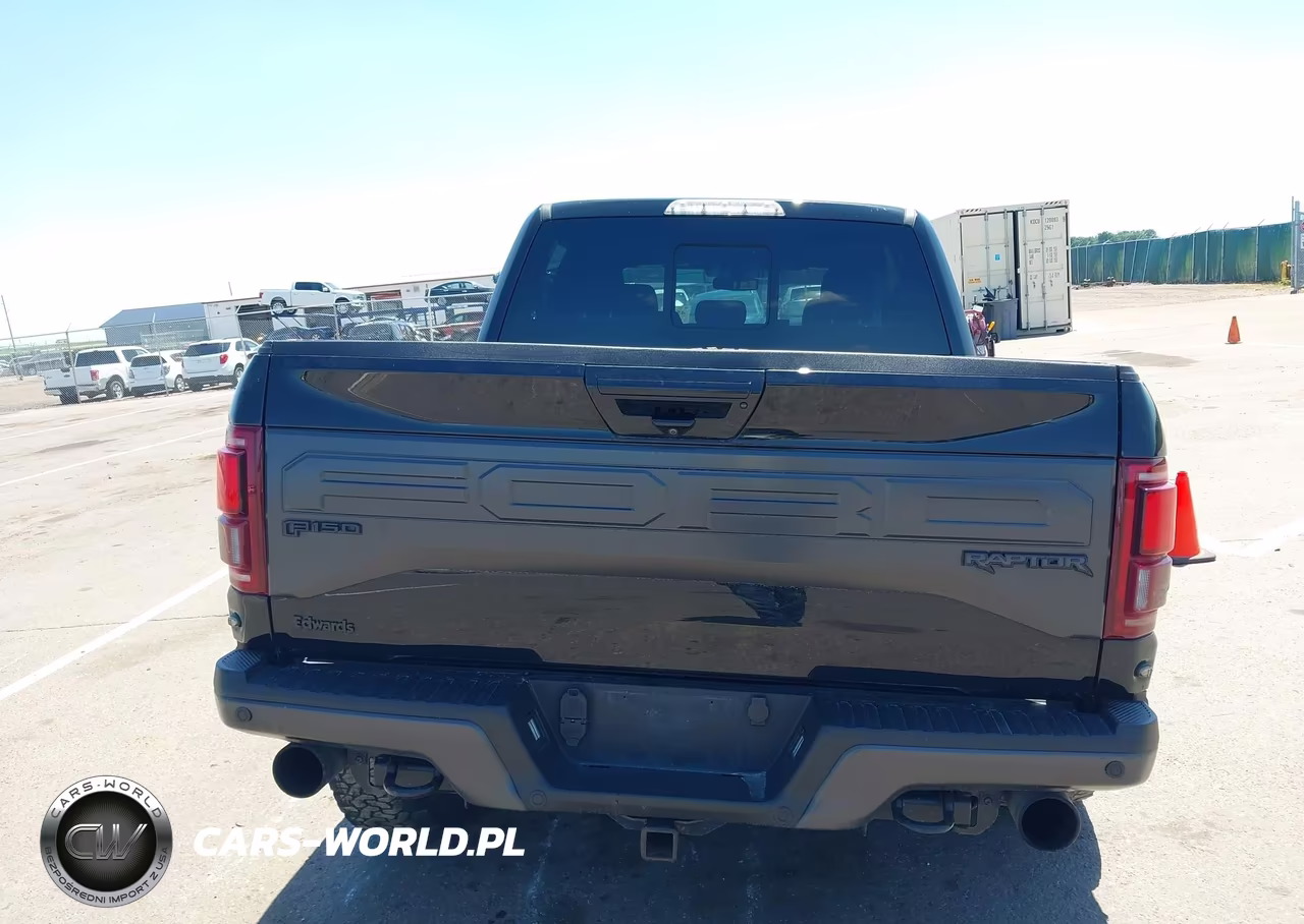 2018 Ford F-150 Raptor VIN:1FTFW1RG3JFA17341 - 16