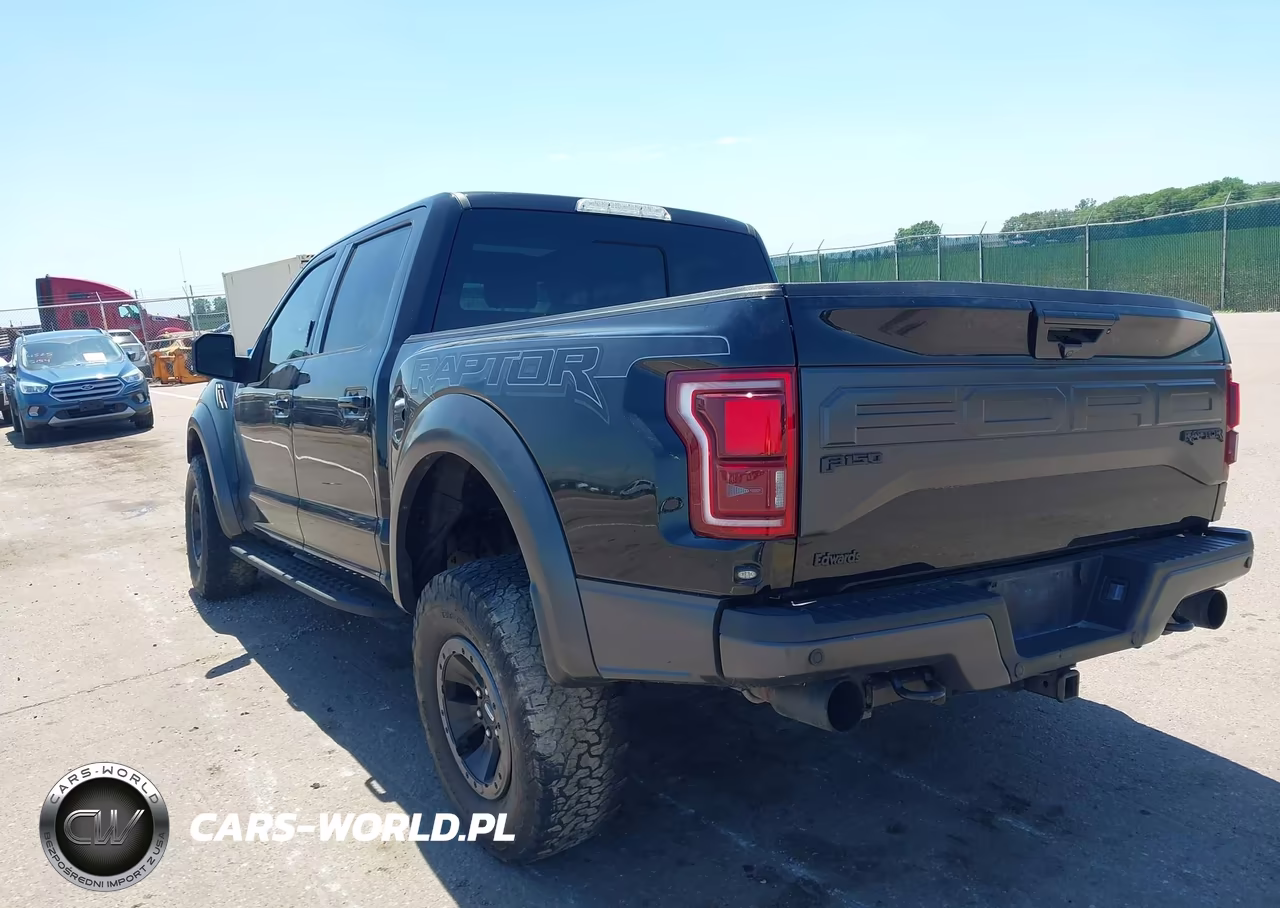 2018 Ford F-150 Raptor VIN:1FTFW1RG3JFA17341 - 3