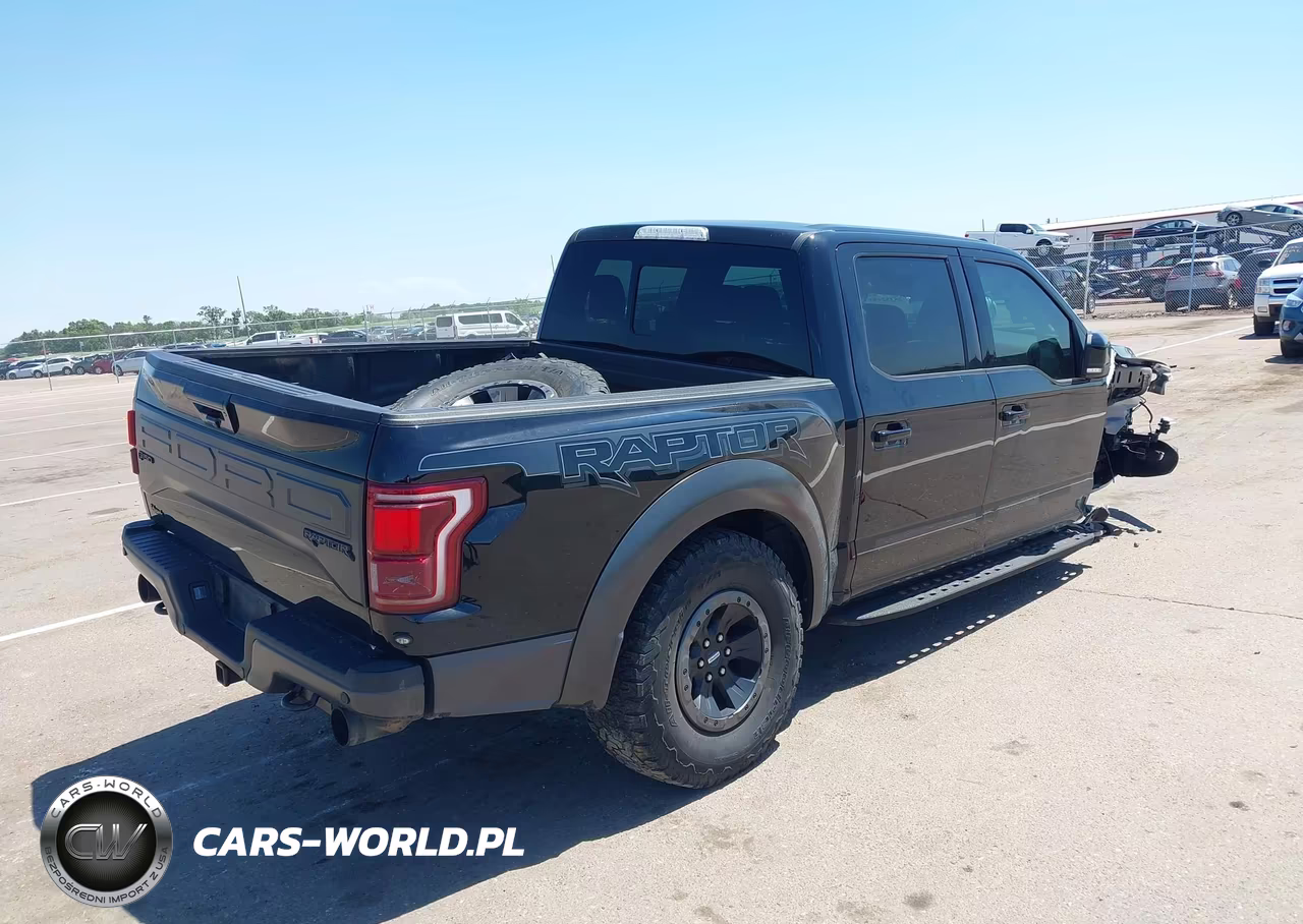2018 Ford F-150 Raptor VIN:1FTFW1RG3JFA17341 - 4