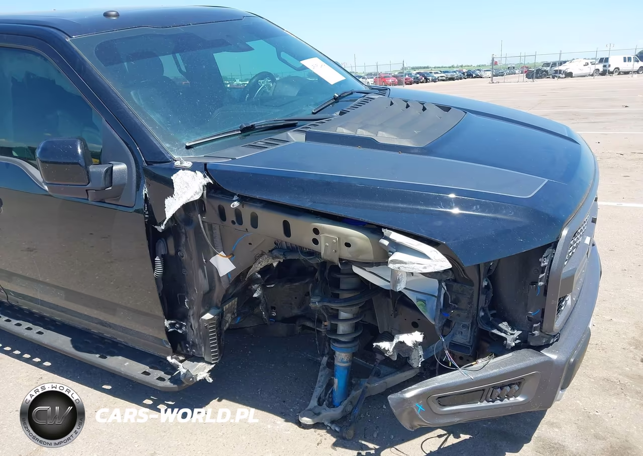 2018 Ford F-150 Raptor VIN:1FTFW1RG3JFA17341 - 6
