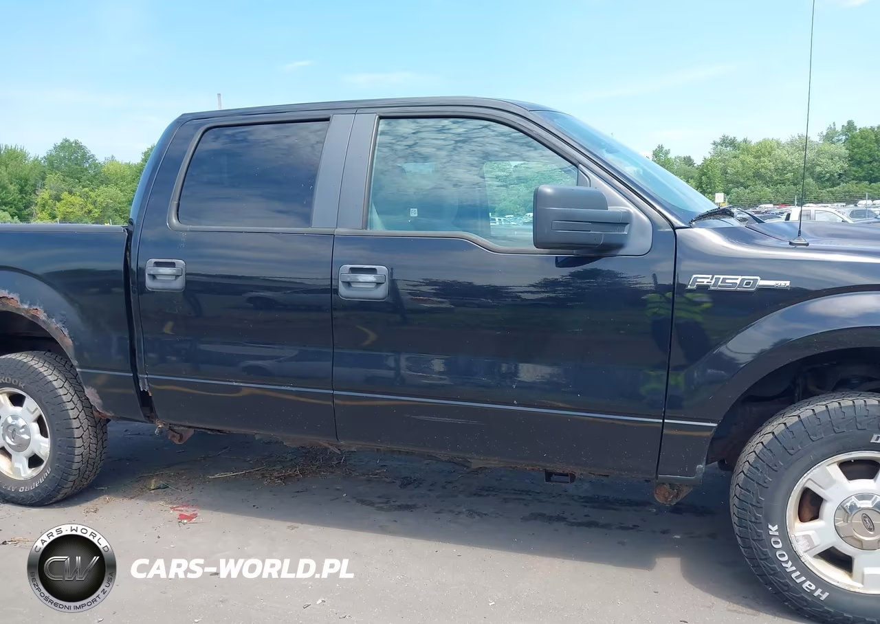 2009 Ford F-150 Xlt VIN:1FTRW14839FA88628 - 13