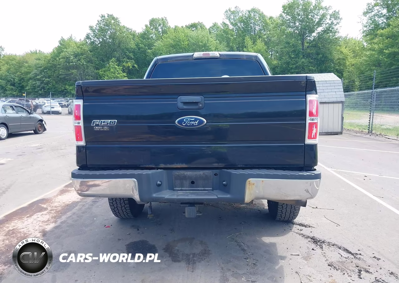 2009 Ford F-150 Xlt VIN:1FTRW14839FA88628 - 16