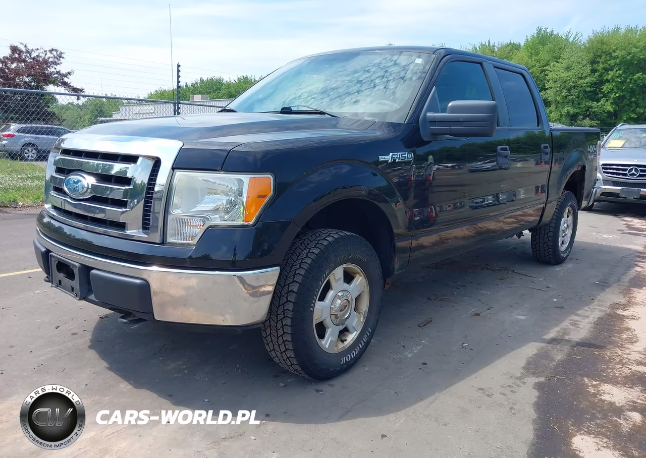 2009 Ford F-150 Xlt VIN:1FTRW14839FA88628 - 2