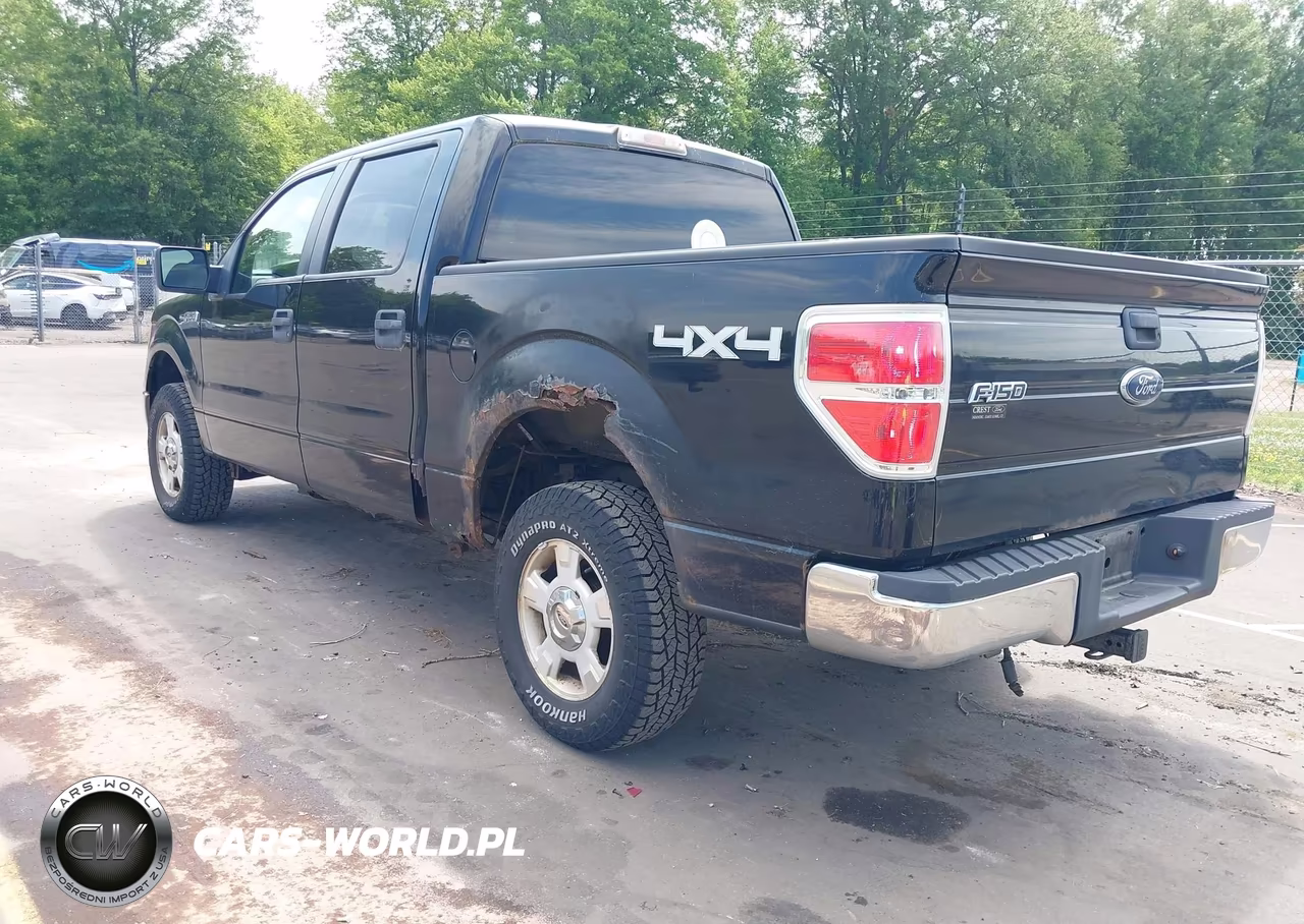 2009 Ford F-150 Xlt VIN:1FTRW14839FA88628 - 3