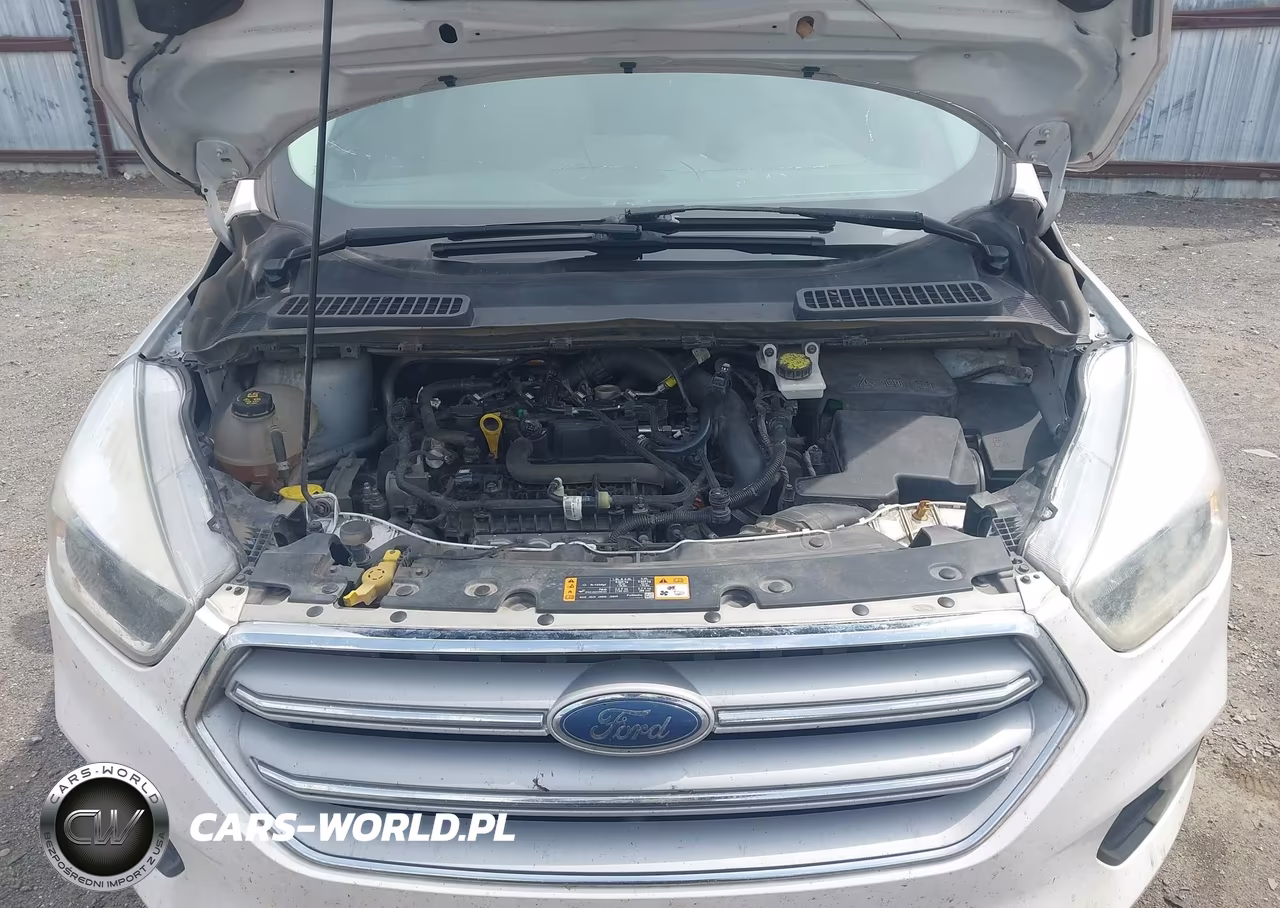2019 Ford Escape Se VIN:1FMCU0GD6KUB46954 - 10