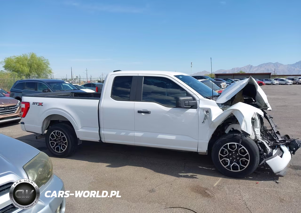 2023 Ford F-150 Xl VIN:1FTEX1CP6PKE66949 - 13