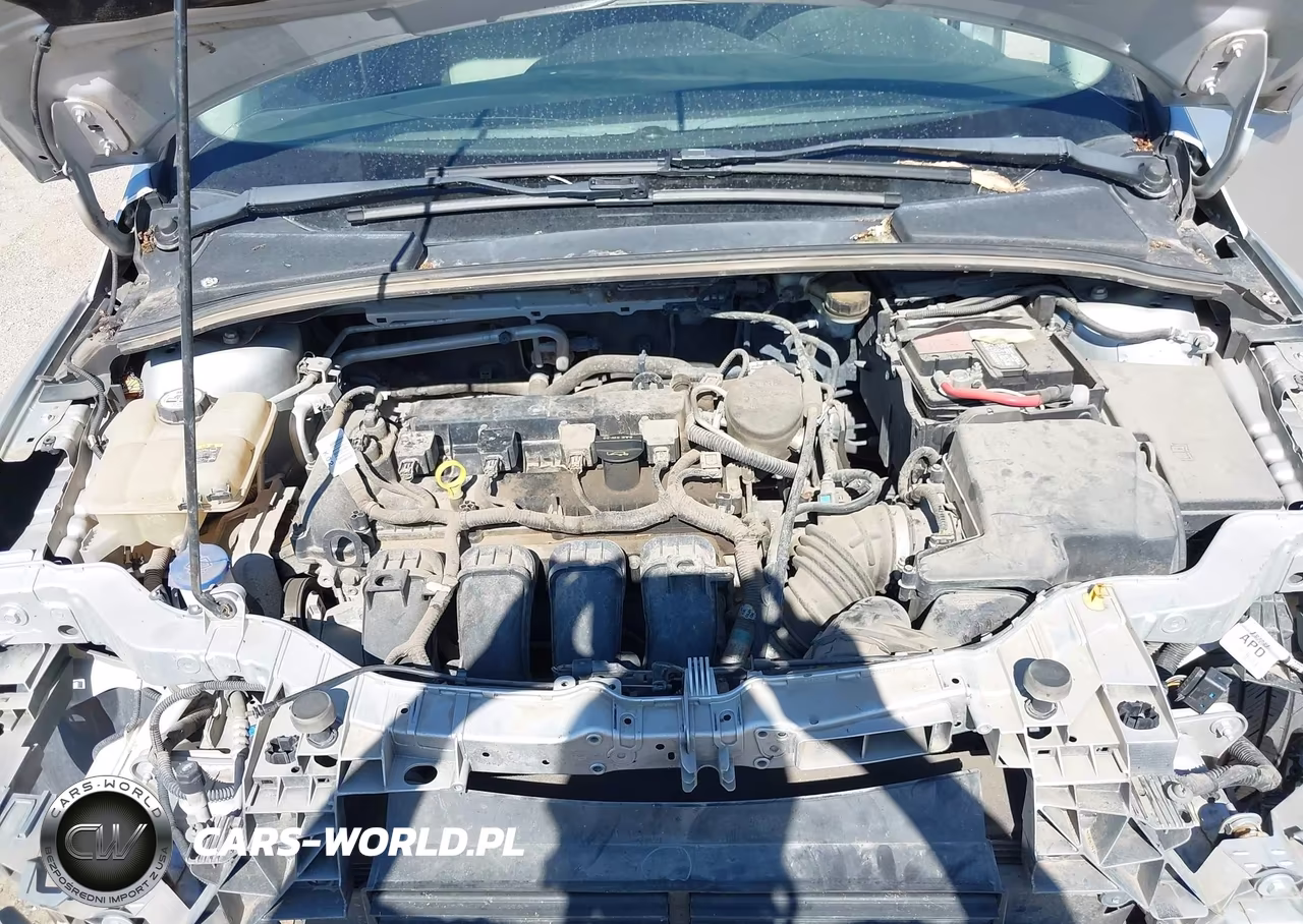 2012 Ford Focus Se VIN:1FAHP3F24CL371065 - 10