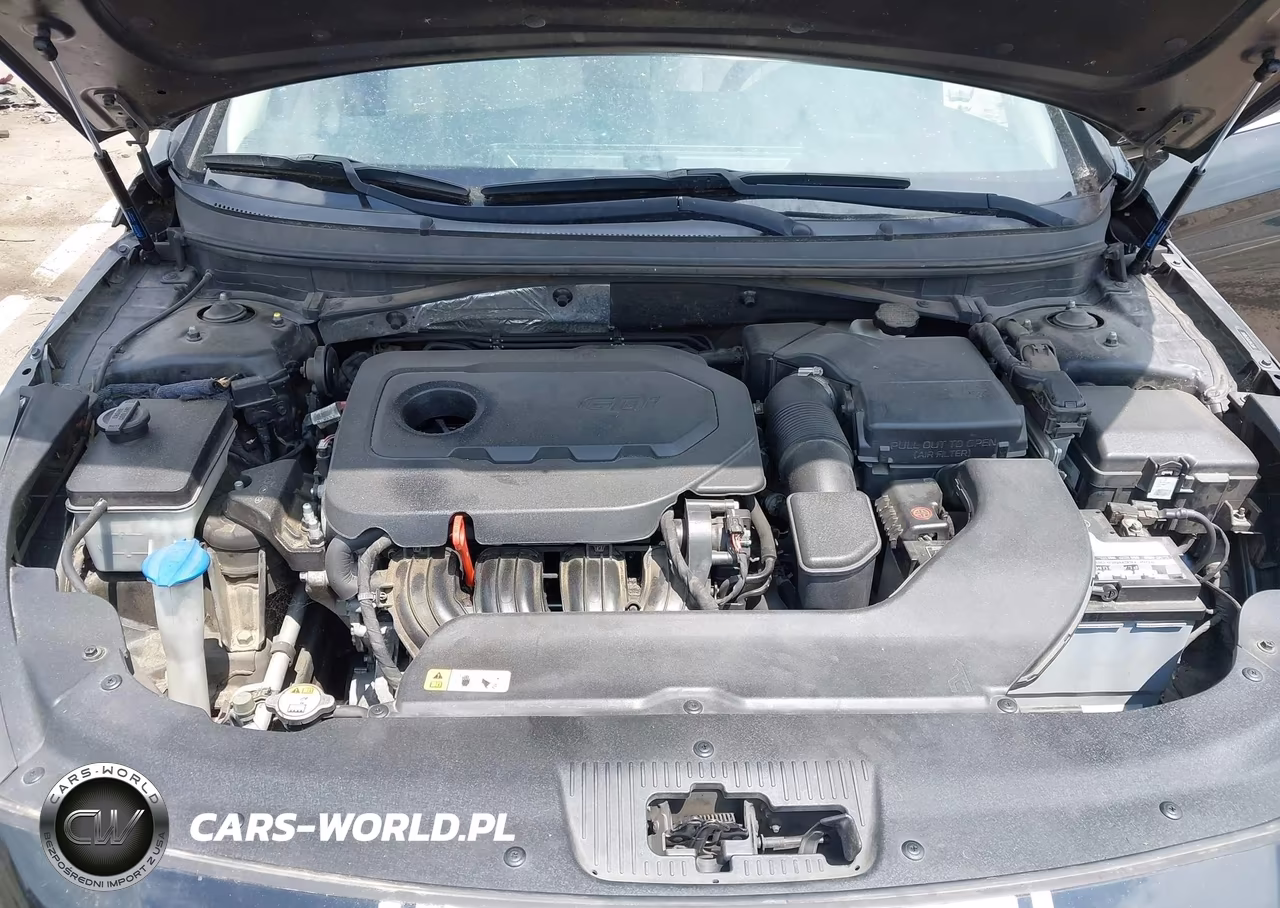 2015 Hyundai Sonata Se VIN:5NPE24AF9FH248916 - 10