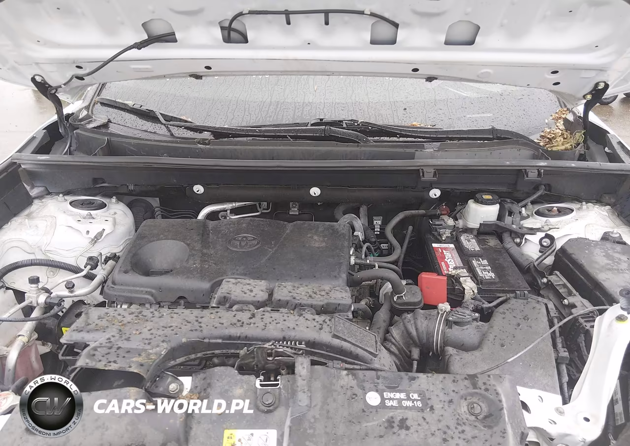 2019 Toyota Rav4 Le VIN:2T3F1RFV2KW072217 - 10