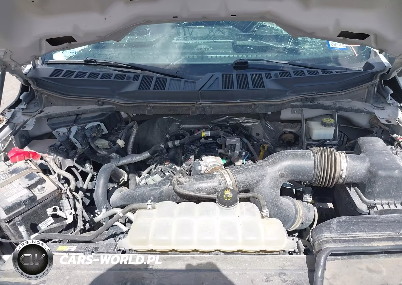 2023 Ford F-150 Xl VIN:1FTEW1CP1PKD18663 - 10