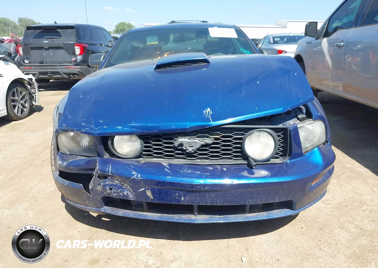2008 Ford Mustang Gt Deluxe-Gt Premium VIN:1ZVHT82H285114668 - 12