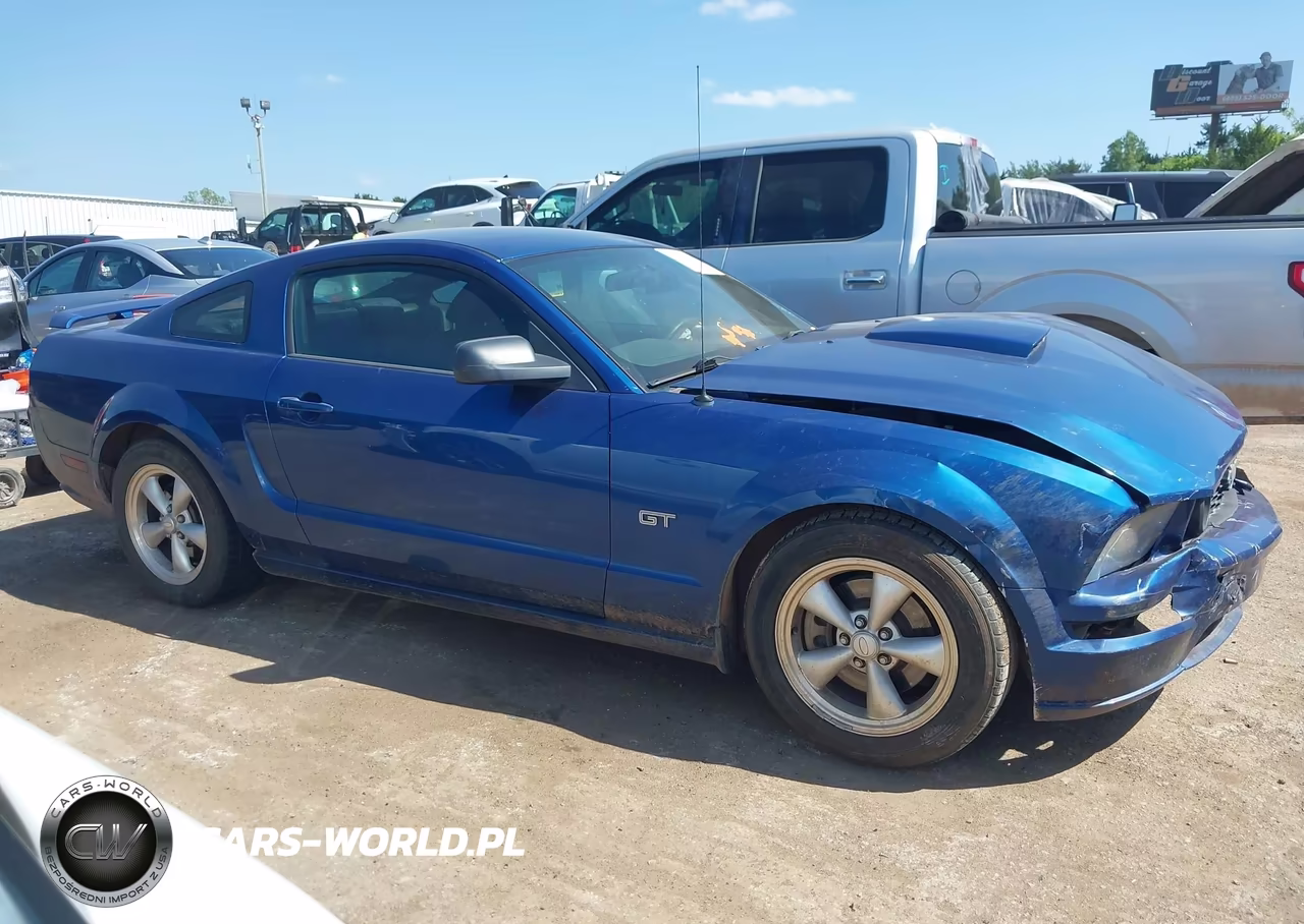 2008 Ford Mustang Gt Deluxe-Gt Premium VIN:1ZVHT82H285114668 - 13
