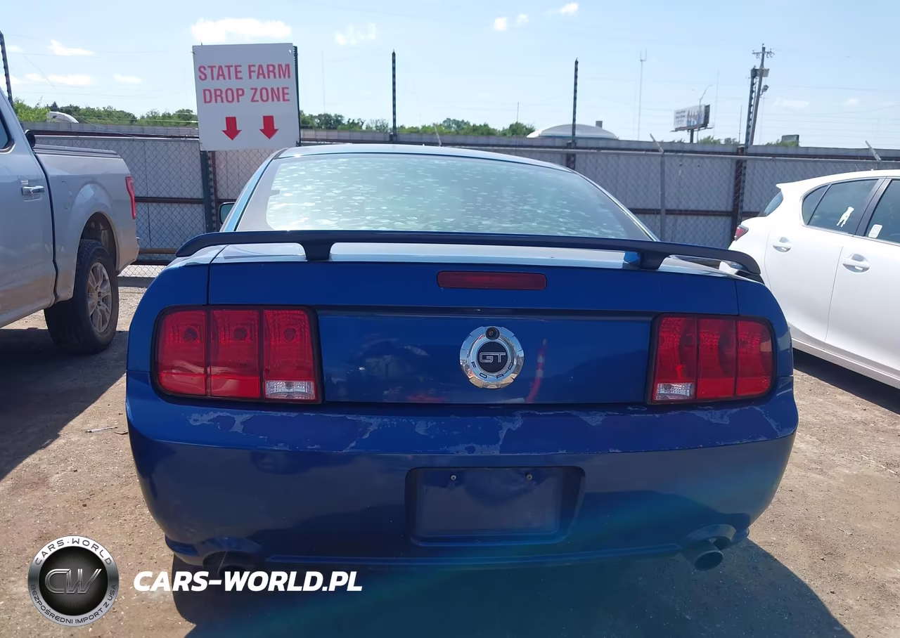 2008 Ford Mustang Gt Deluxe-Gt Premium VIN:1ZVHT82H285114668 - 16