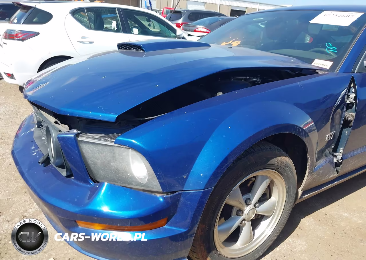 2008 Ford Mustang Gt Deluxe-Gt Premium VIN:1ZVHT82H285114668 - 6