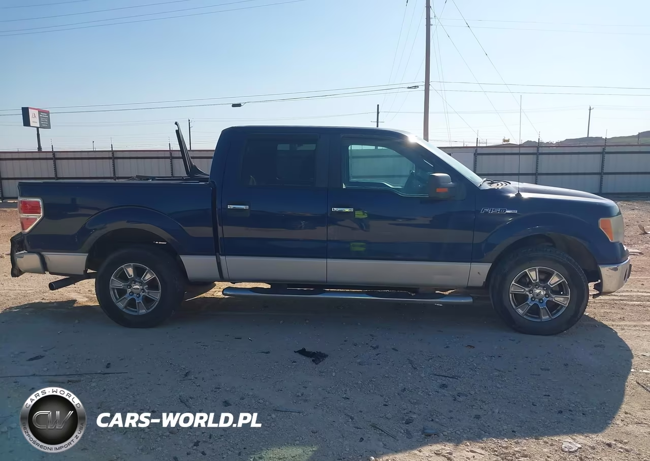 2010 Ford F-150 Fx2 Sport-Xl-Xlt VIN:1FTEW1C81AFA51520 - 12