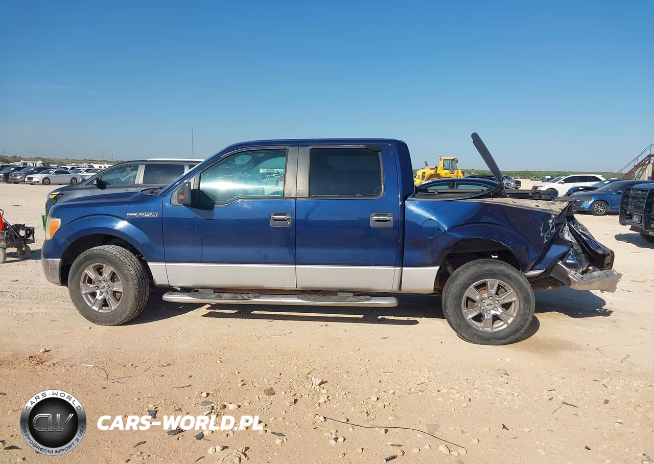 2010 Ford F-150 Fx2 Sport-Xl-Xlt VIN:1FTEW1C81AFA51520 - 13