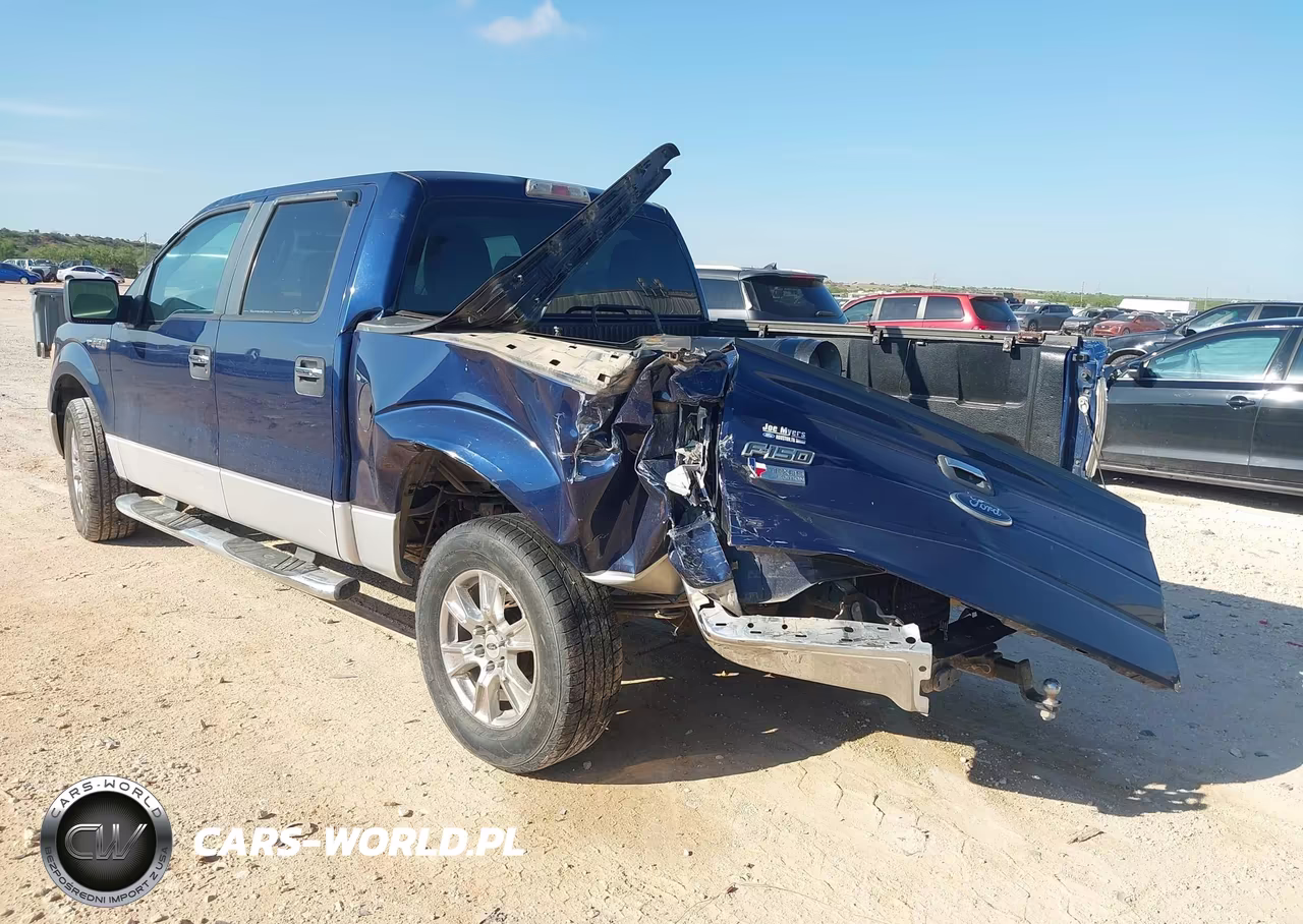 2010 Ford F-150 Fx2 Sport-Xl-Xlt VIN:1FTEW1C81AFA51520 - 3