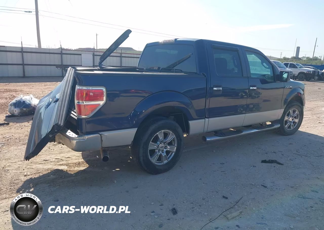 2010 Ford F-150 Fx2 Sport-Xl-Xlt VIN:1FTEW1C81AFA51520 - 4