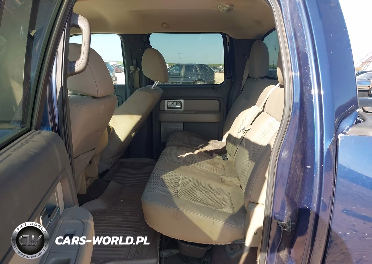 2010 Ford F-150 Fx2 Sport-Xl-Xlt VIN:1FTEW1C81AFA51520 - 8