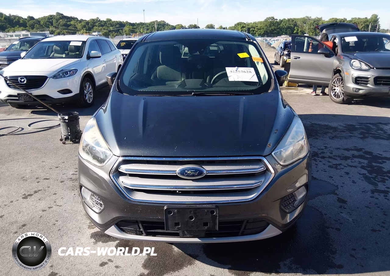 2019 Ford Escape Se VIN:1FMCU0GD6KUB02209 - 12