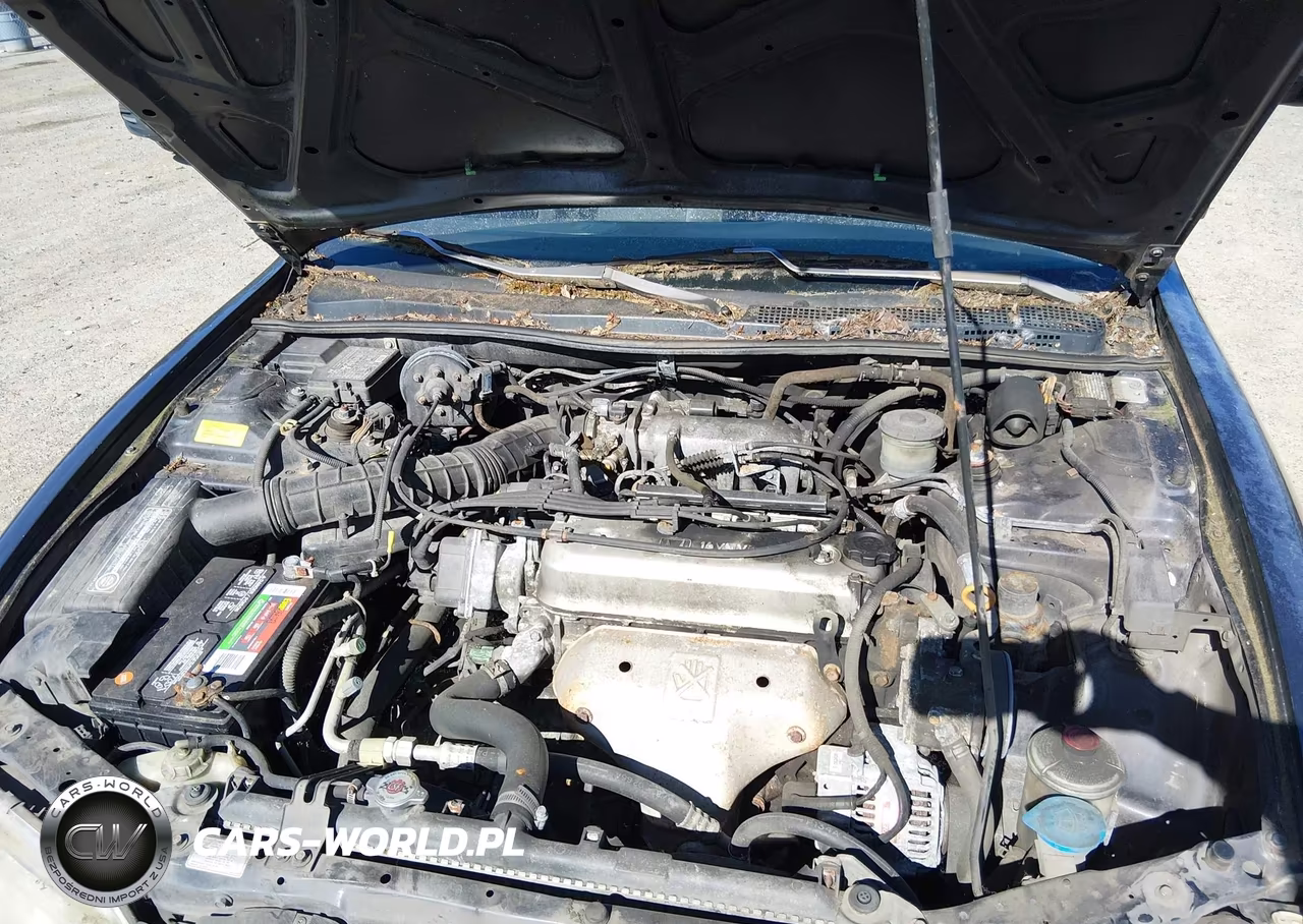 1995 Honda Accord Lx VIN:JHMCD5639SC061038 - 10