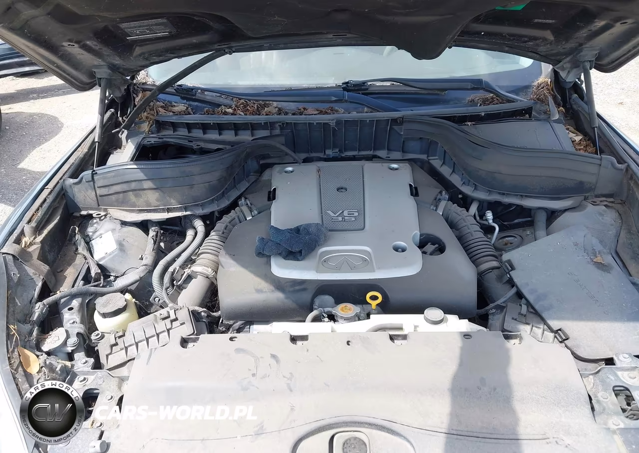 2008 Infiniti Ex35 Journey VIN:JNKAJ09E48M305035 - 10