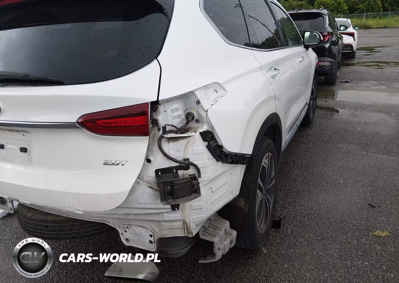 2020 Hyundai Santa Fe Sel 2.0T VIN:5NMS33AA9LH177580 - 6