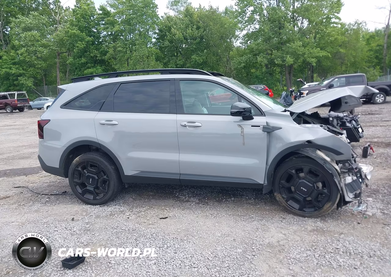 2024 Kia Sorento X-Line Ex VIN:5XYRHDJF6RG291220 - 13