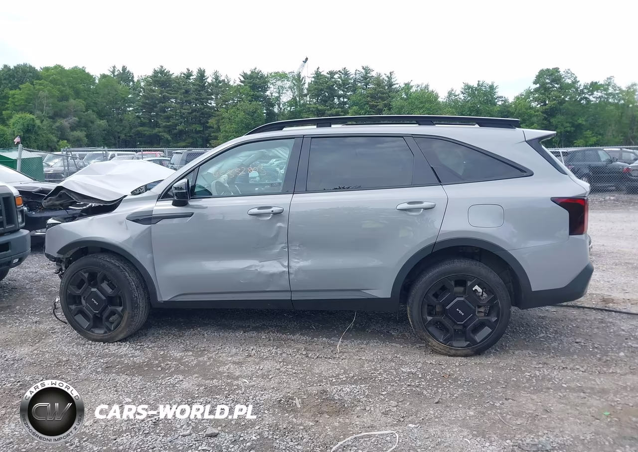 2024 Kia Sorento X-Line Ex VIN:5XYRHDJF6RG291220 - 14