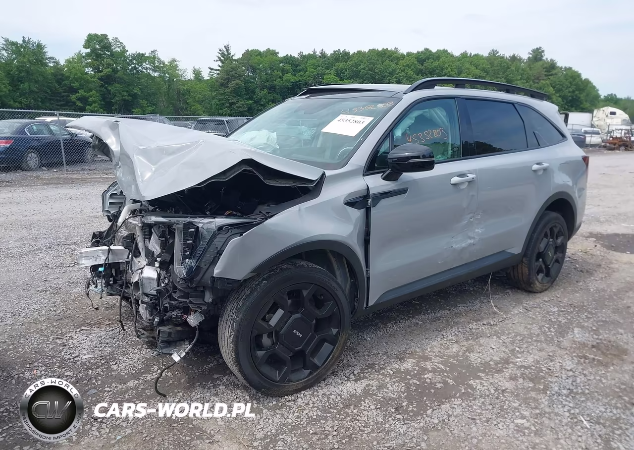 2024 Kia Sorento X-Line Ex VIN:5XYRHDJF6RG291220 - 2