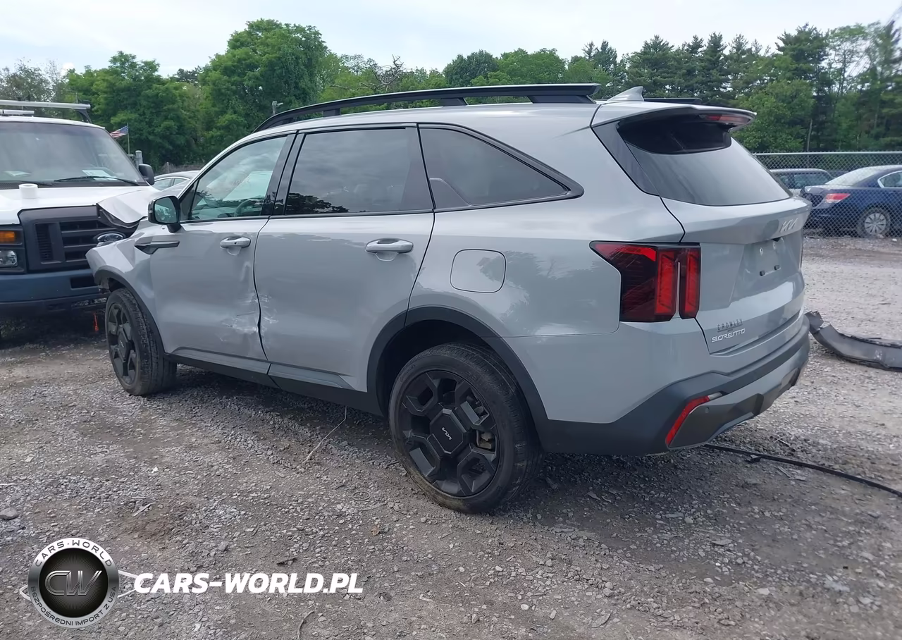 2024 Kia Sorento X-Line Ex VIN:5XYRHDJF6RG291220 - 3
