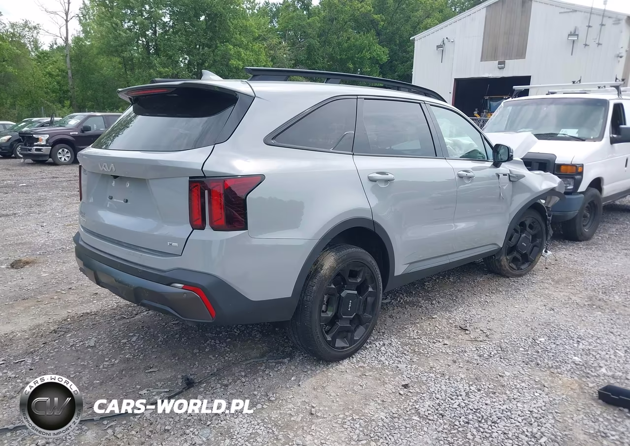 2024 Kia Sorento X-Line Ex VIN:5XYRHDJF6RG291220 - 4