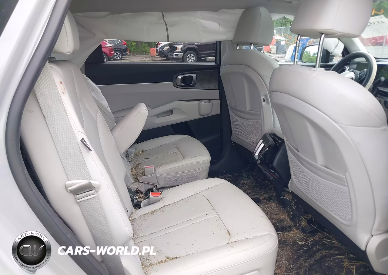 2024 Kia Sorento X-Line Ex VIN:5XYRHDJF6RG291220 - 8