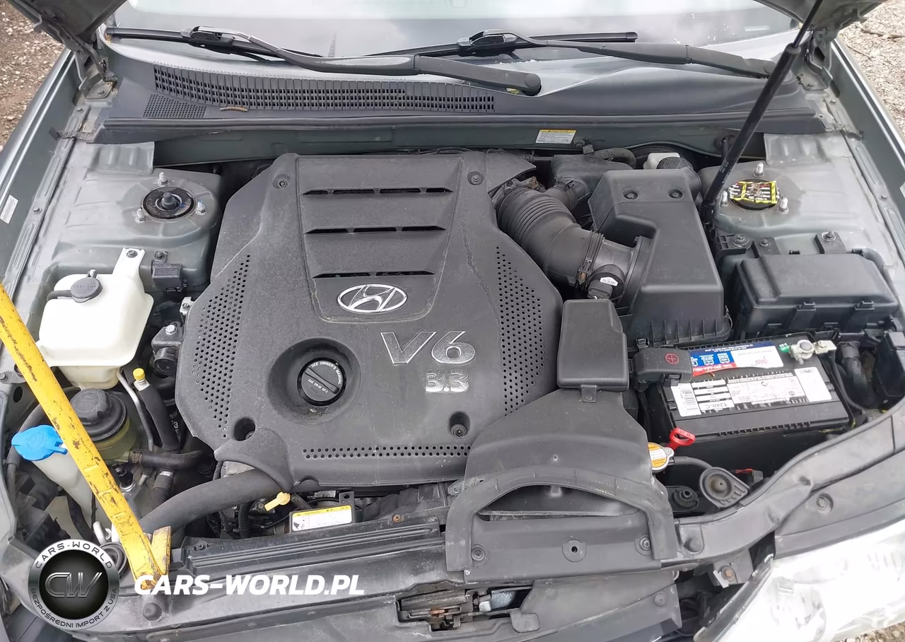 2009 Hyundai Sonata Se V6 VIN:5NPEU46F09H451538 - 10