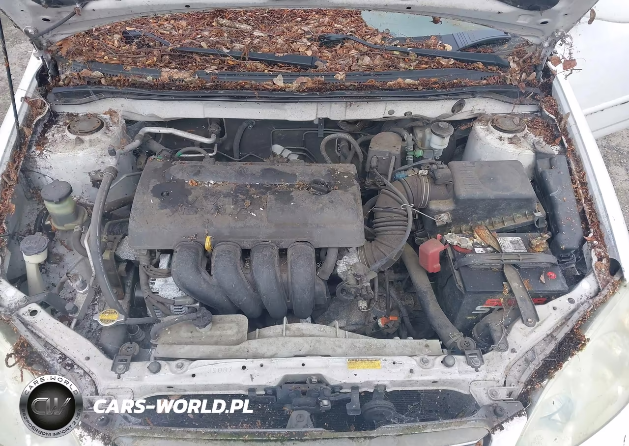 2004 Toyota Corolla Le VIN:1NXBR32E54Z318277 - 10
