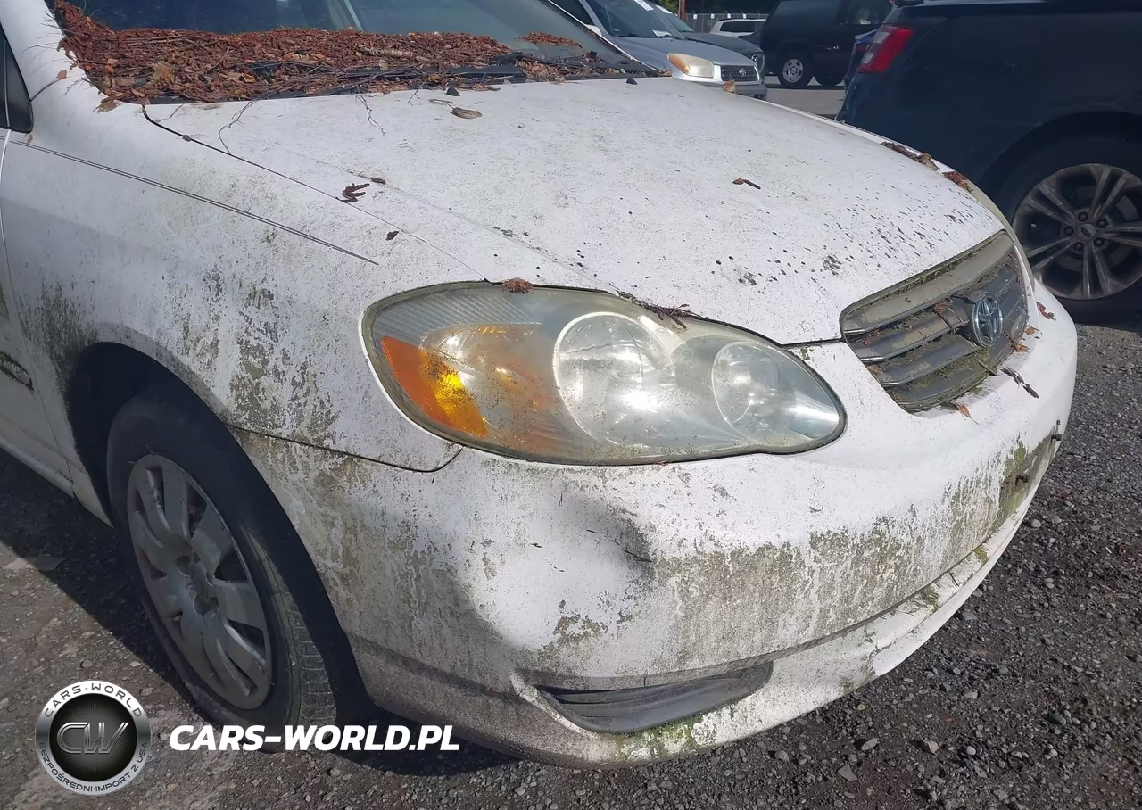 2004 Toyota Corolla Le VIN:1NXBR32E54Z318277 - 6