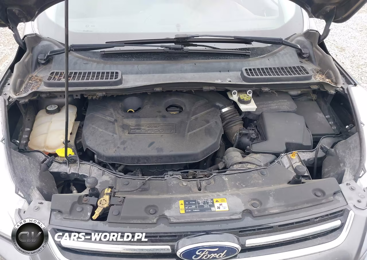 2013 Ford Escape Sel VIN:1FMCU9H93DUB07739 - 10
