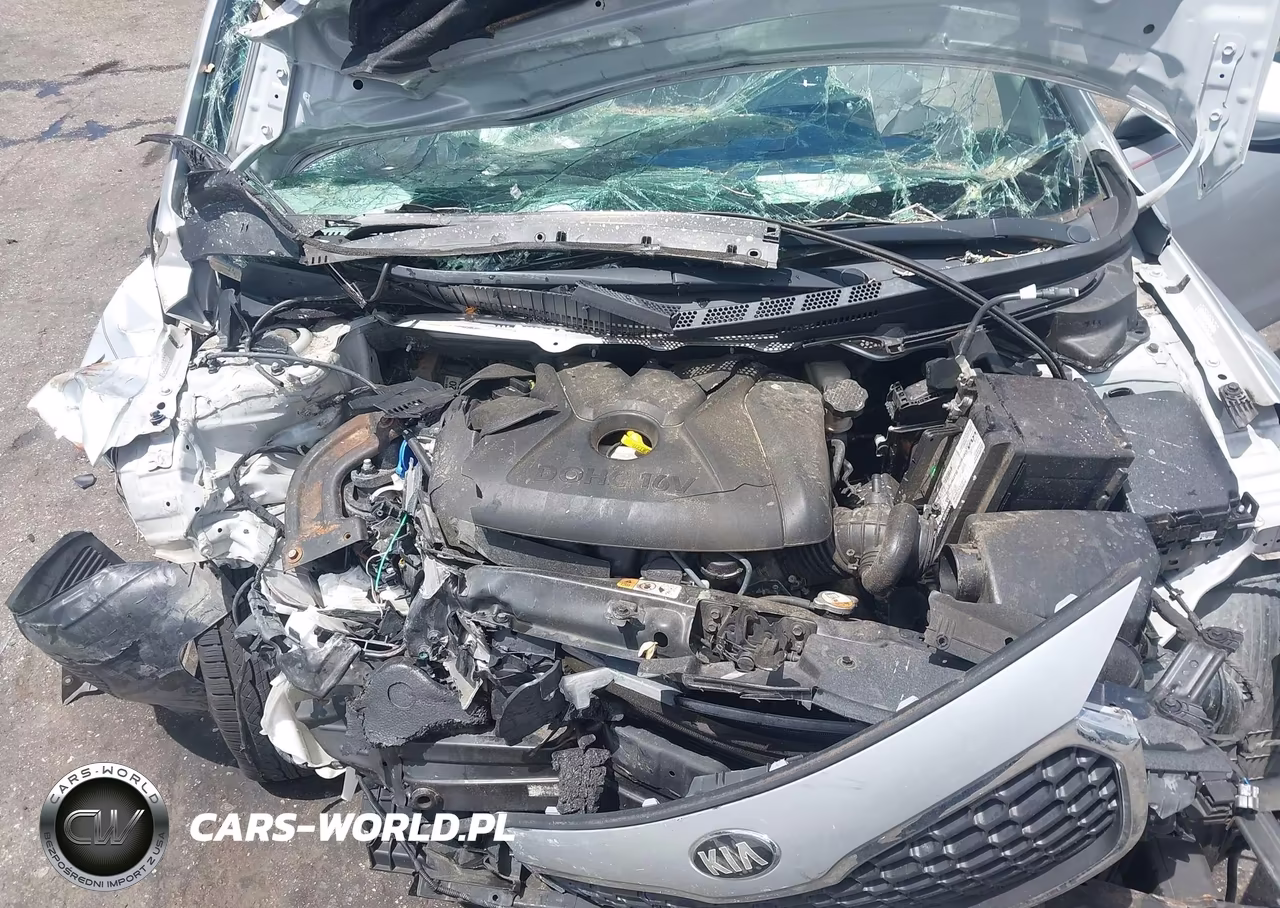 2016 Kia Forte Lx VIN:KNAFK4A69G5569891 - 10