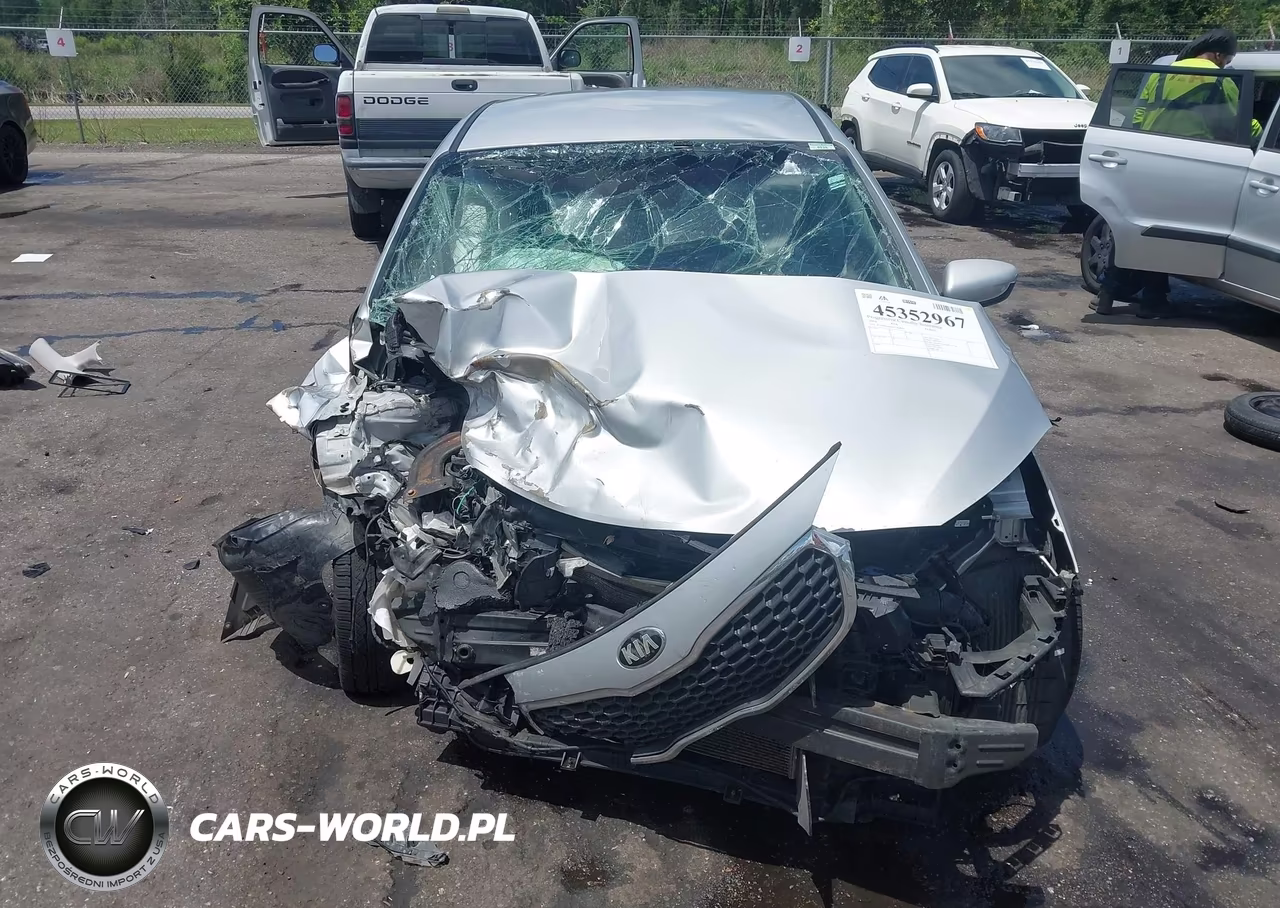 2016 Kia Forte Lx VIN:KNAFK4A69G5569891 - 12