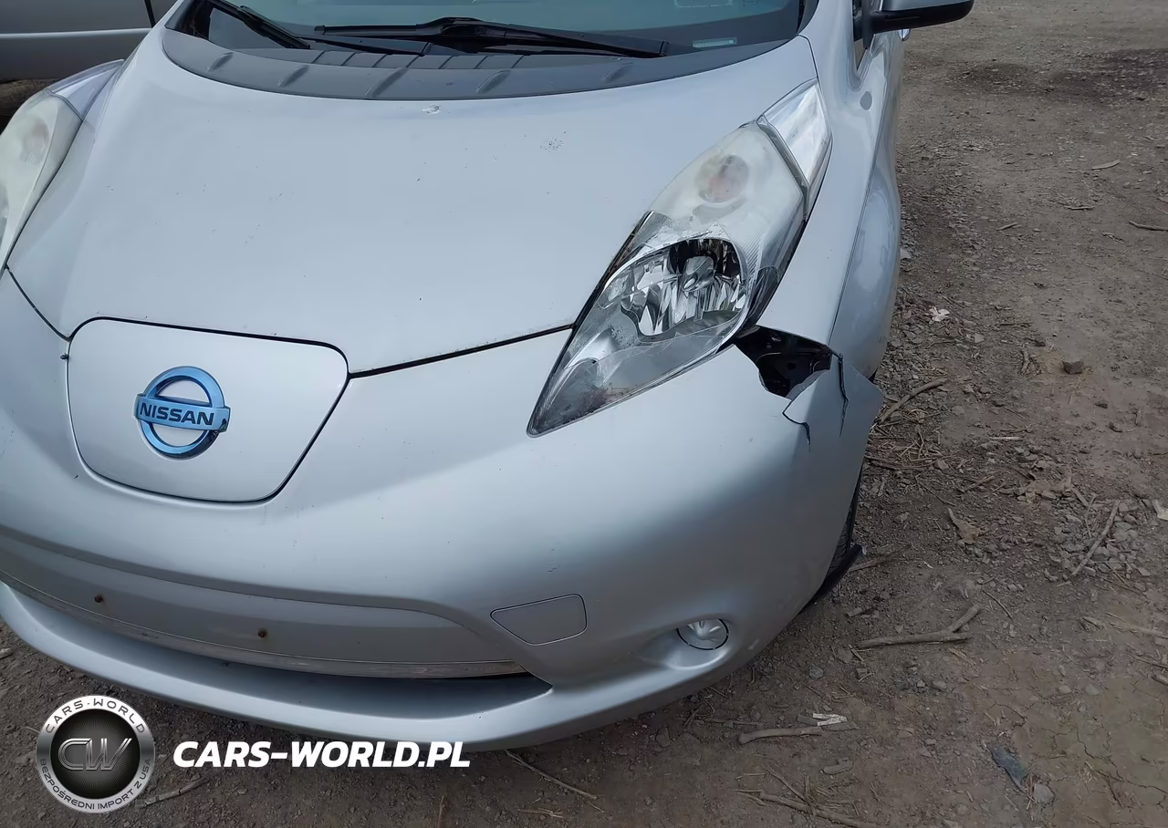 2015 Nissan Leaf S VIN:1N4AZ0CP1FC302817 - 15