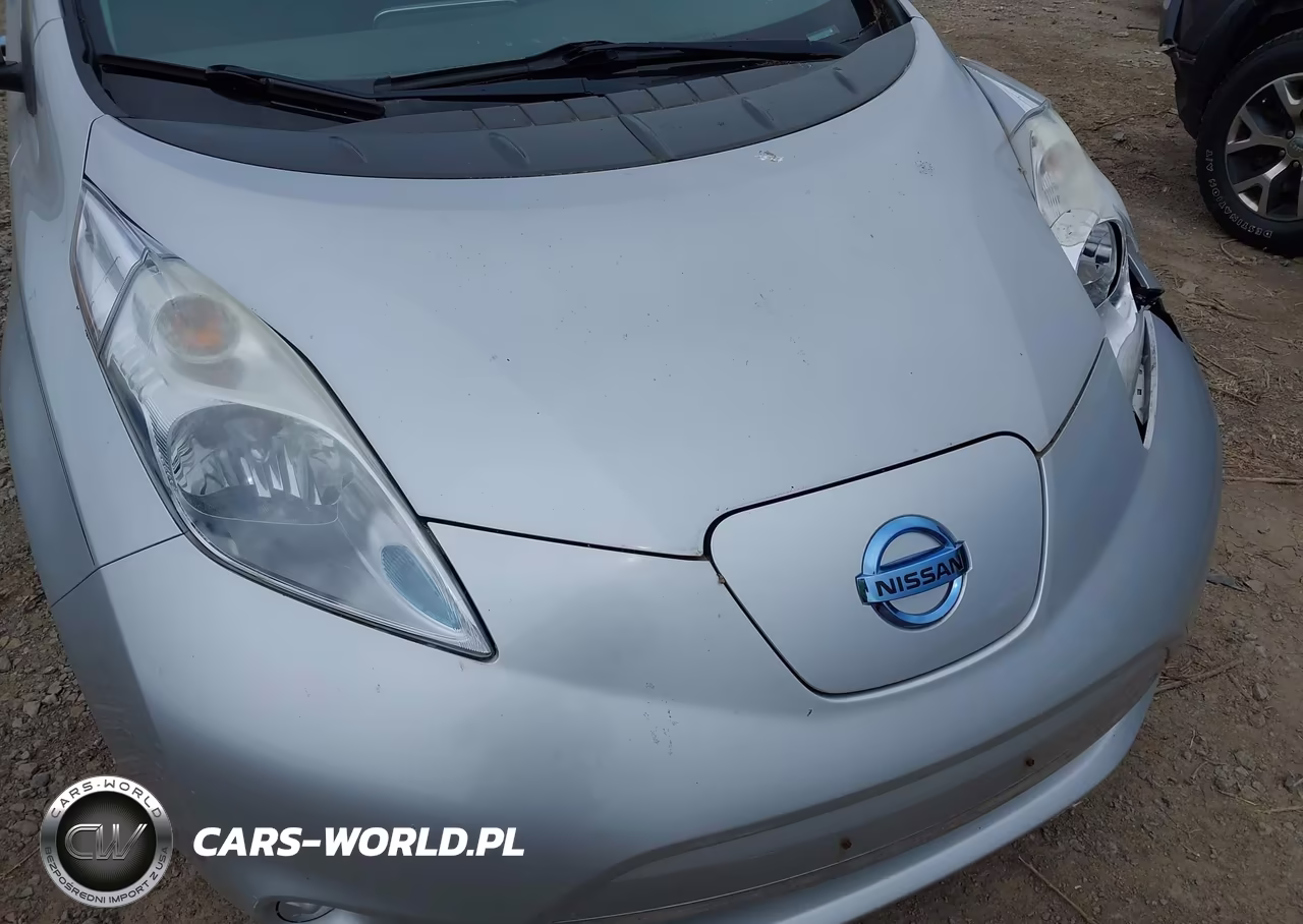 2015 Nissan Leaf S VIN:1N4AZ0CP1FC302817 - 16