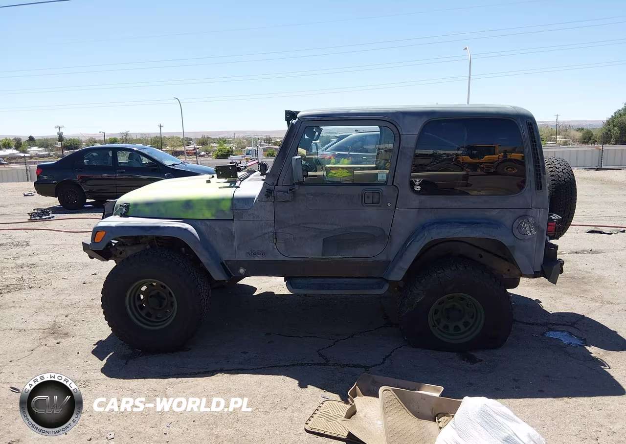 1997 Jeep Wrangler Sahara VIN:1J4FY49S0VP522392 - 14