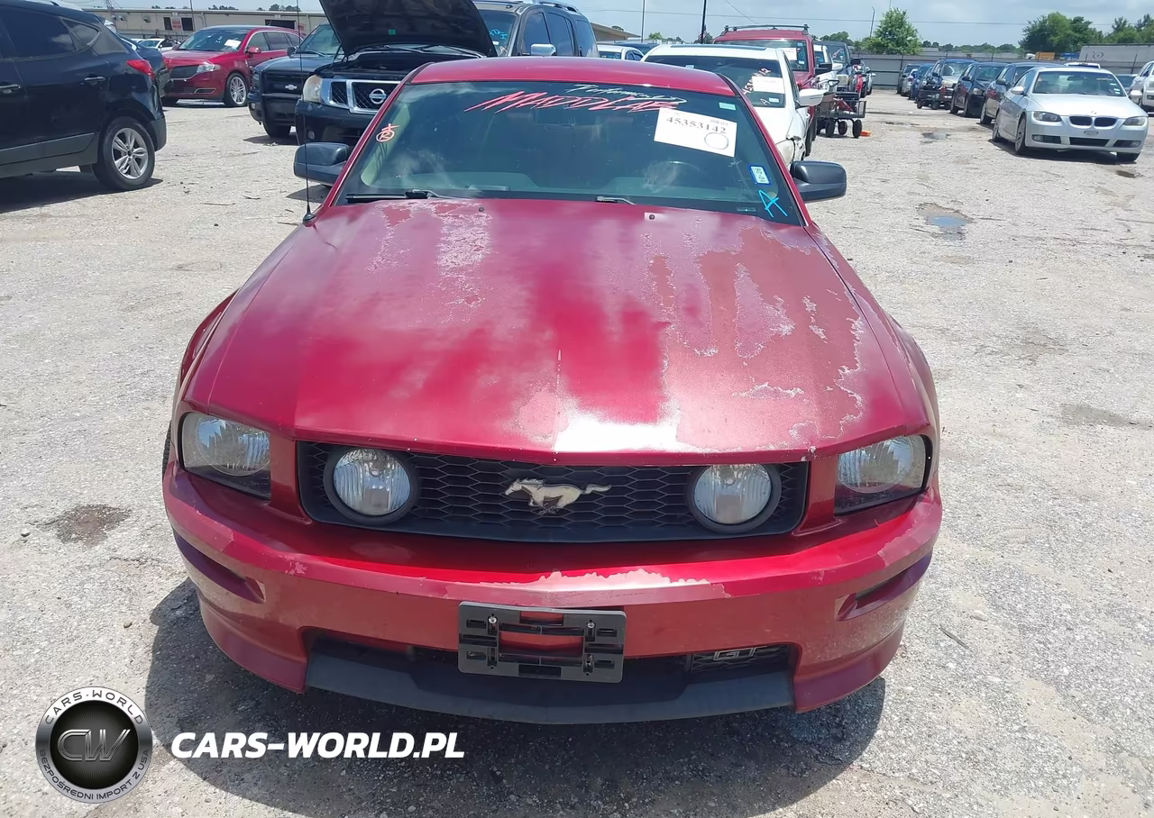 2008 Ford Mustang Gt Deluxe-Gt Premium VIN:1ZVHT82H785110602 - 12