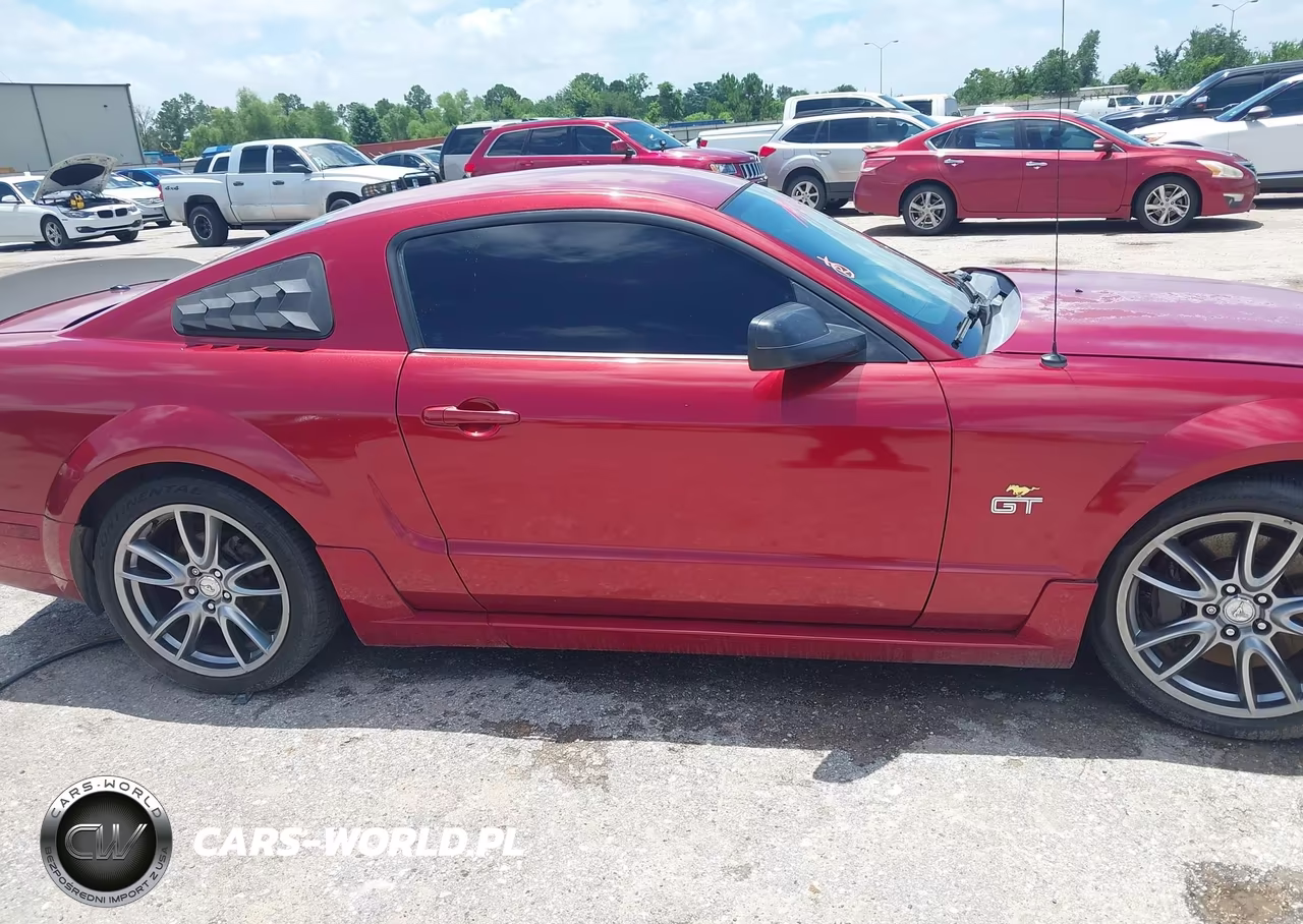 2008 Ford Mustang Gt Deluxe-Gt Premium VIN:1ZVHT82H785110602 - 13