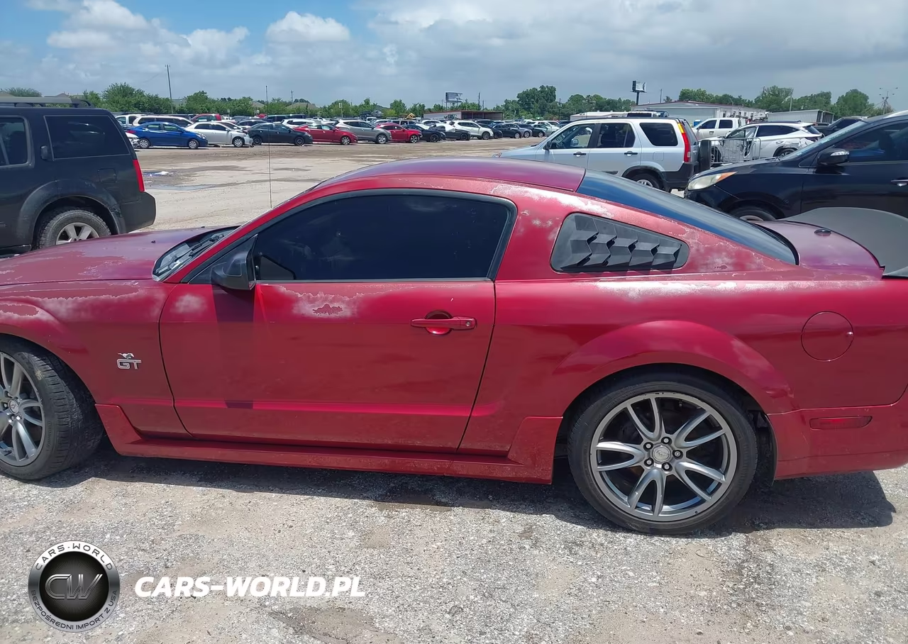 2008 Ford Mustang Gt Deluxe-Gt Premium VIN:1ZVHT82H785110602 - 14
